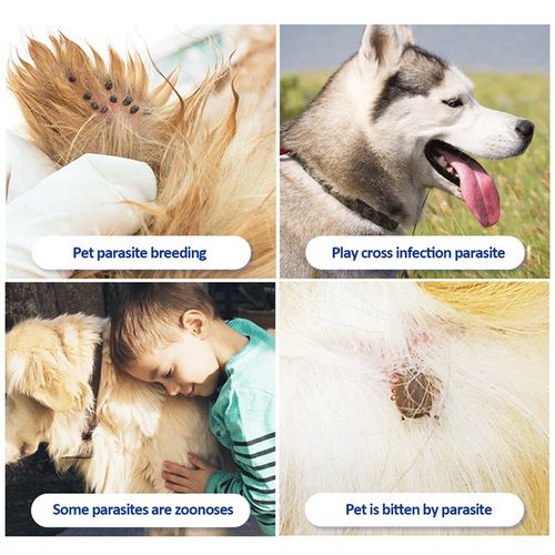Adjustable Pets Necklet Cat Accessories Dogs Cats Anti Mosqu - 封面