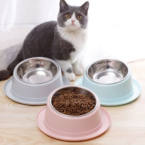 Cat Feeder Slope Anti-Ant Food Bowl For Cat Pet Accessories
