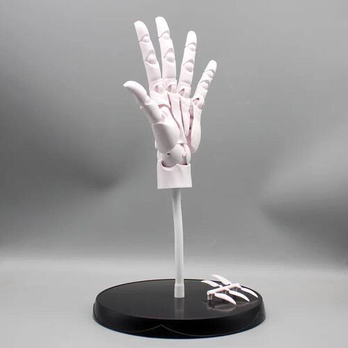 37cm Human Hand Model With Movable Finger Joints  Simulation
