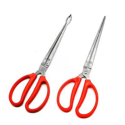 Crab Monopterus albus Clip Loach Pliers Non-slip Eel Pliers