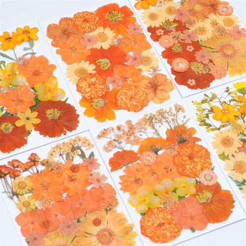 Halloween Orange Dried Flowers Diy Glue Material Embossed Ha
