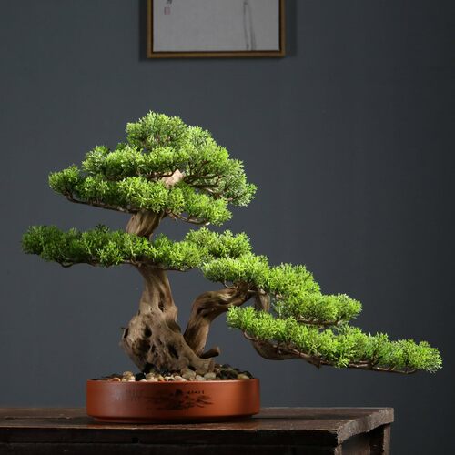Simulation welcome pine bonsai office Chinese plant decor