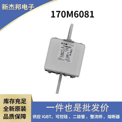 原厂陶瓷熔断器 快速熔断器 170M6018 170M6019 170M6020