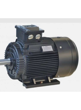 霍尔HOYER异步低压三相TEFV鼠笼电机400V Y – Hoyer IE3 3KW功率
