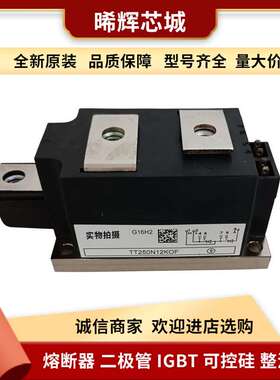 TT250N12KOF TT430N22KOF 型号齐全大功率可控硅双向 标准封装