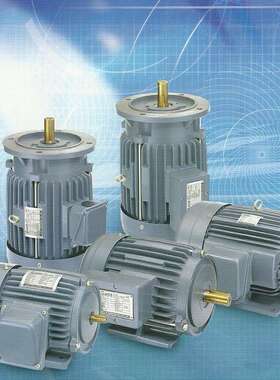 ADLEE爱德利ACO三相感应式马达,AEVF立式普通电机187W~15KW功率