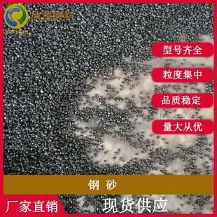 抛丸机清理用铸件钢砂 打砂钢砂 合金铸钢砂 2.5mm G10