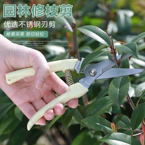Stainless Steel Garden Shears Sharp Gardening Scissor