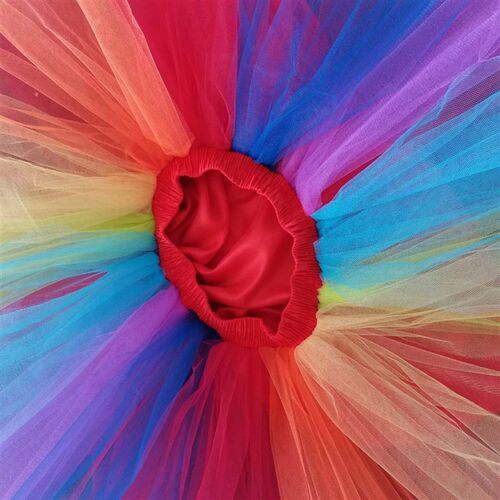 Multicolor Tulle Skirt 2023 New Stage Performance Costume Ca