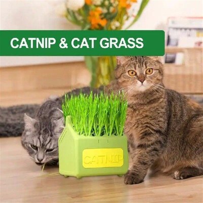 Cat Grass Planter Tray Grass Sprouting Trays Cat Grass Tray