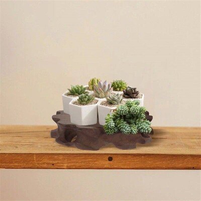 Vases Solid Wood Base Mini Wooden Stands For Display Craft