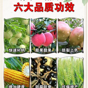 糖醇钙螯合流体钙叶面肥农用钙肥草莓蔬菜柑橘中微量元素肥农用