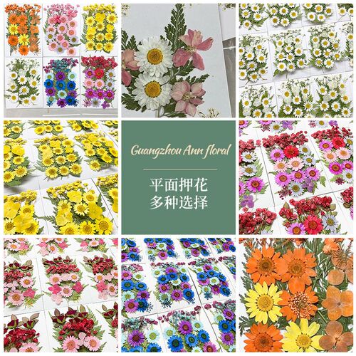 Strictly Selected Dry Flower Embossed Diy Material Package I
