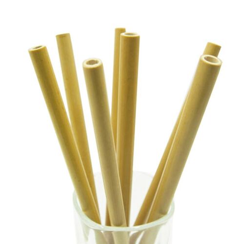 10 Pcs Natural Bamboo Straws Environmentally Friendly Bamboo