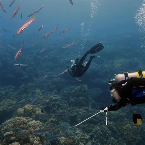 Tickle Stick Scuba Diving Stick Stainless Steel Lobster Tick