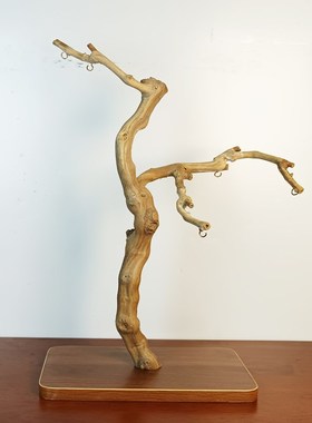 一物一拍 创意树枝毛笔架 首饰展示架