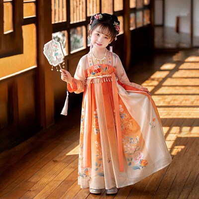 Hanfu Girls Spring New Improved Embroidered Tang Suit Long-s