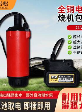 无线便携锂电动抽水泵24V21V直流潜水泵家用农用浇菜灌溉水泵