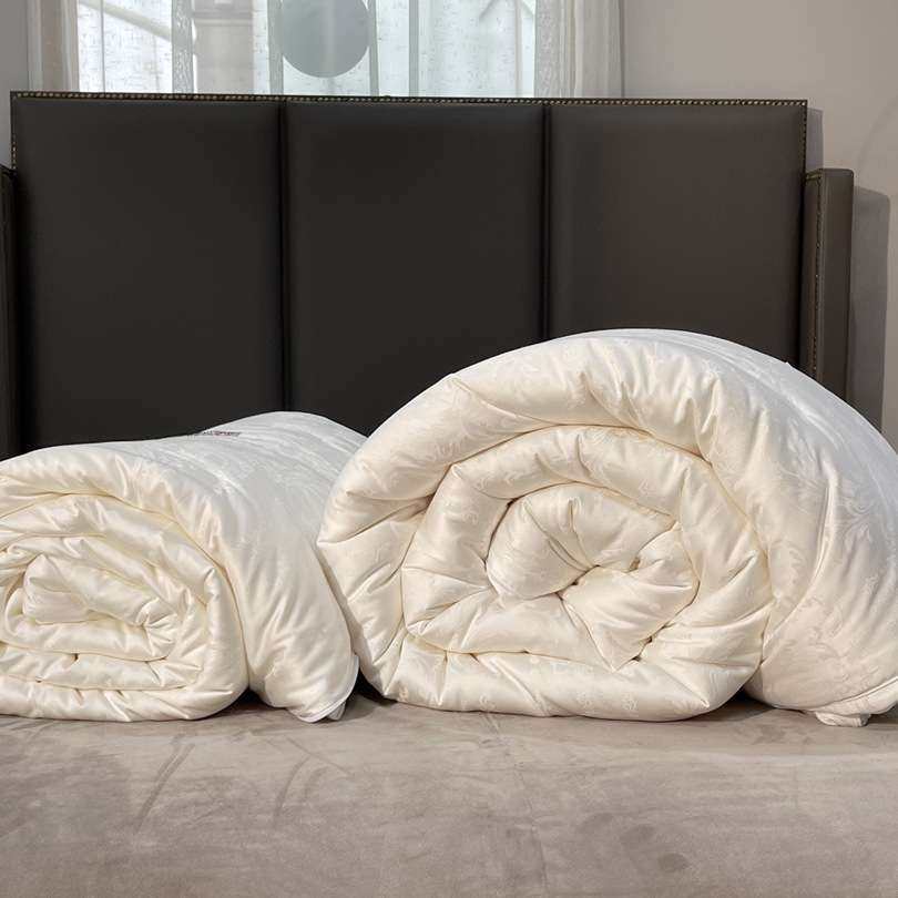 秋冬新品轻奢大豆子母秋冬被加厚保暖时尚简约白家用被子被芯,3C数码配件,其它配件,淘宝优惠券,粉丝福利购,淘宝优惠卷