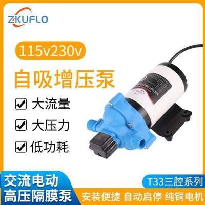 115V230V交流自吸增压隔膜泵微型开关抽水泵洗车增压泵房车水泵泵