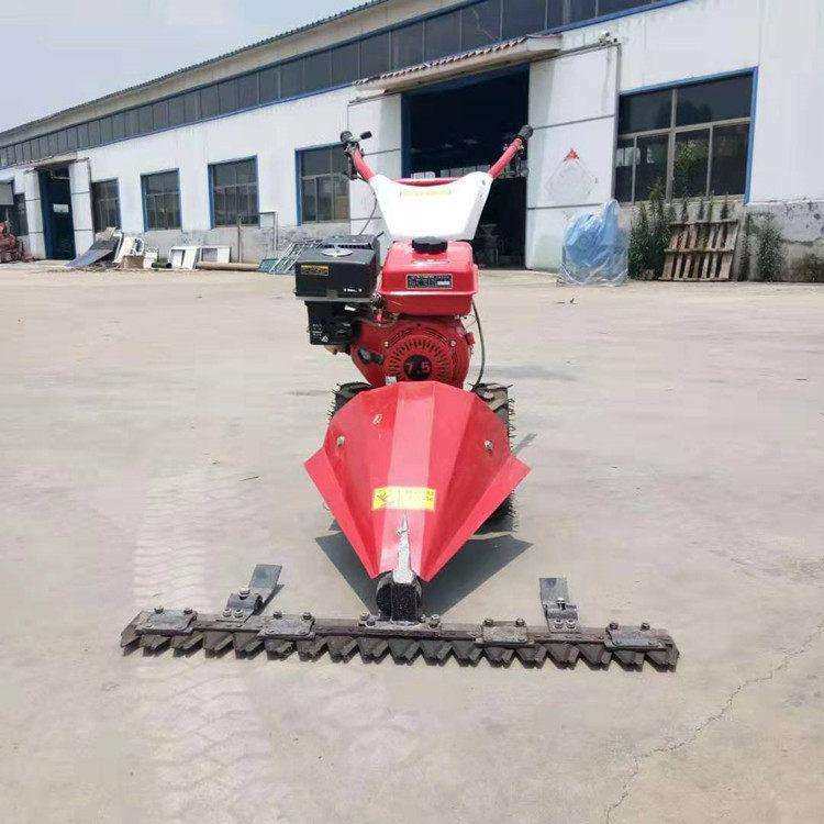 农用自走式汽油剪草机 手推式汽油剪草机 园林割草机,3C数码配件,其它配件,淘宝优惠券,粉丝福利购,淘宝优惠卷