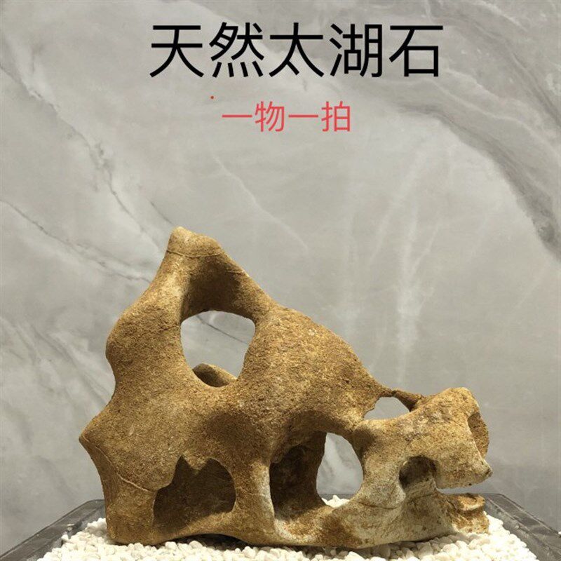 广西天然太湖石原石假山书房玄关鱼缸庭院盆景奇石观赏石案头摆件