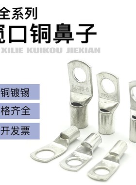 只SC-8/10/铜接线鼻子窥口电缆接头铜线耳接线端子头平方