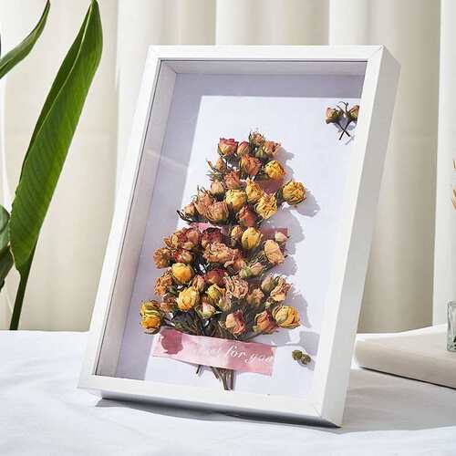 . Specimen Photo Frame DIY Three-Dimensional Hollow 3cm Pict