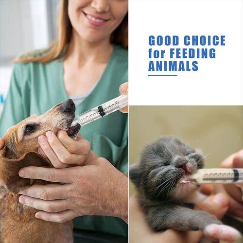 1ml-10ml Plastic Bulk Needle-Free Disposable Syringes Syring