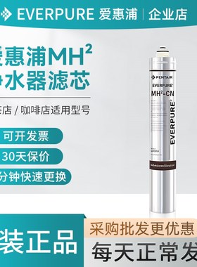 爱惠浦MH2-CN滤芯商用净水器原装咖啡奶茶店大流量直饮配件耗材