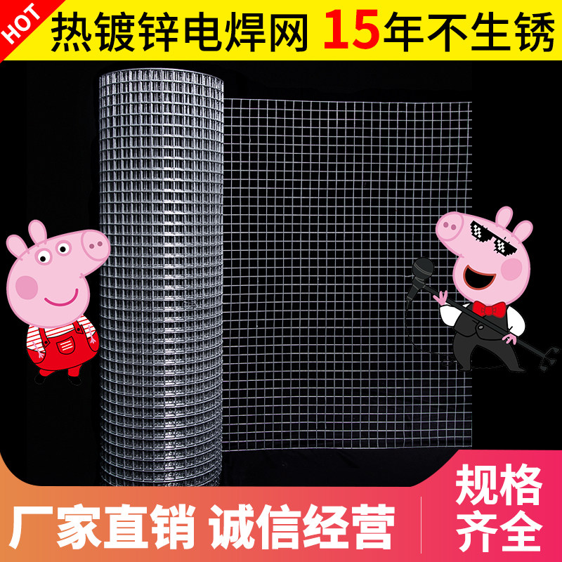 热镀锌铁丝网围栏格网片防护栅栏不锈钢笼子护栏网防鼠养鸟钢丝网