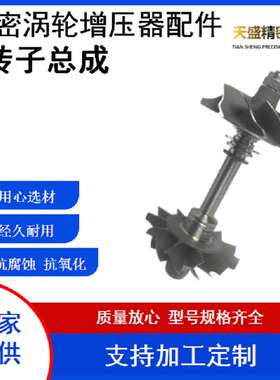 汽车涡轮增压器配件  转子总成 BV43-53039700168