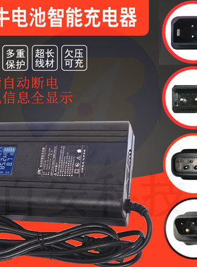 小牛电车mqil/N/Sqi/B0/G1/G0/G2/Fxt/Nxt/UM智能快充数显断电