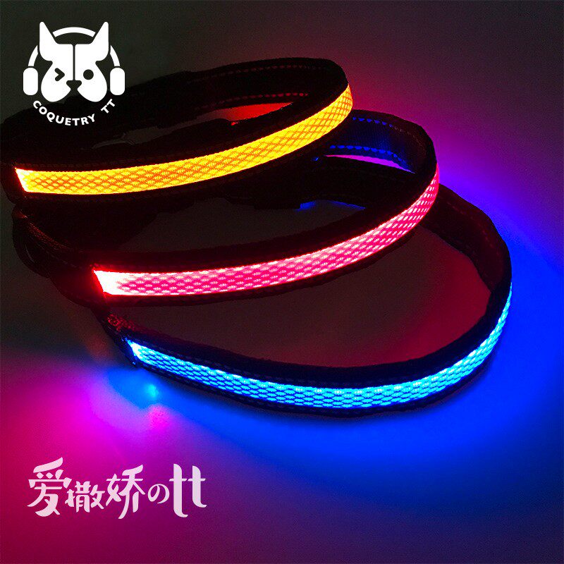 TT宠物LED发光项圈USB充电夜光狗狗项圈夜间遛狗泰迪法斗防丢项圈