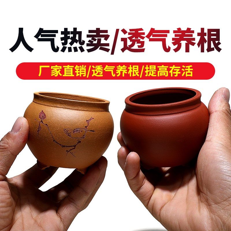 长青宜兴紫砂花盆古典菖蒲多肉微型万象盆景手工紫砂盆万象盆