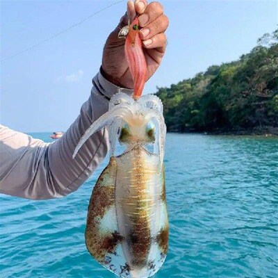Luminous Cuttlefish Squid Jig Hook All For Fishing Lures