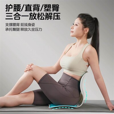 Pony Ergonomic Lumbar Support Cushion, Posture Correction Ch