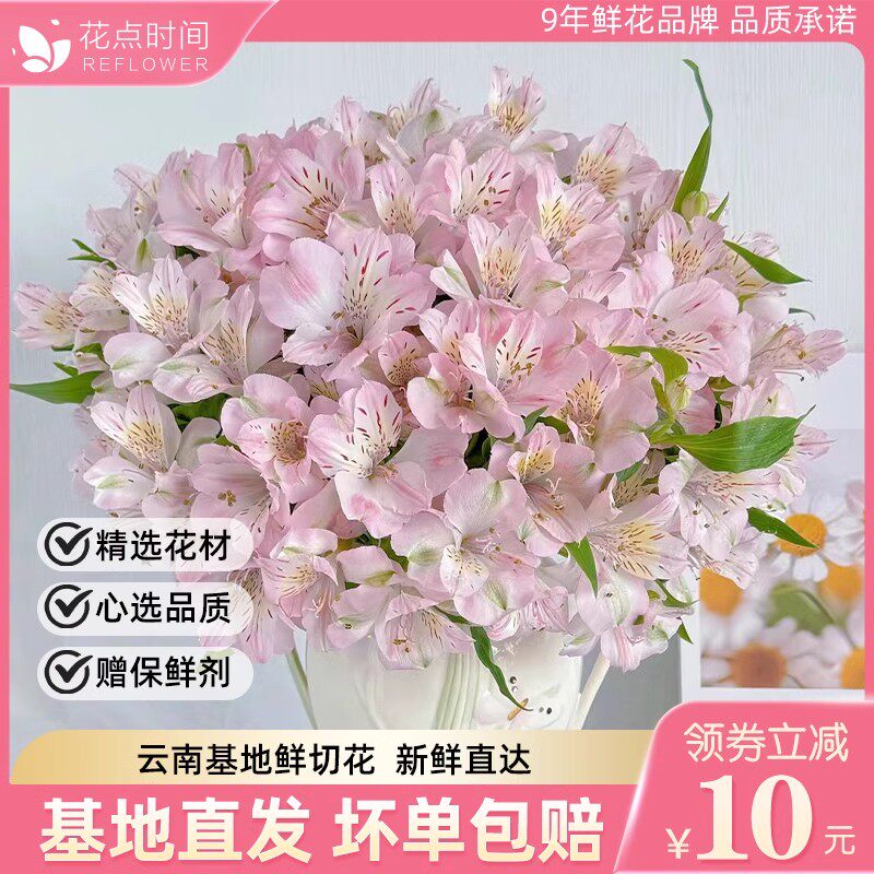 花点时间水仙百合鲜花云南基地直发鲜切花家用水养花瓶插花鲜花束