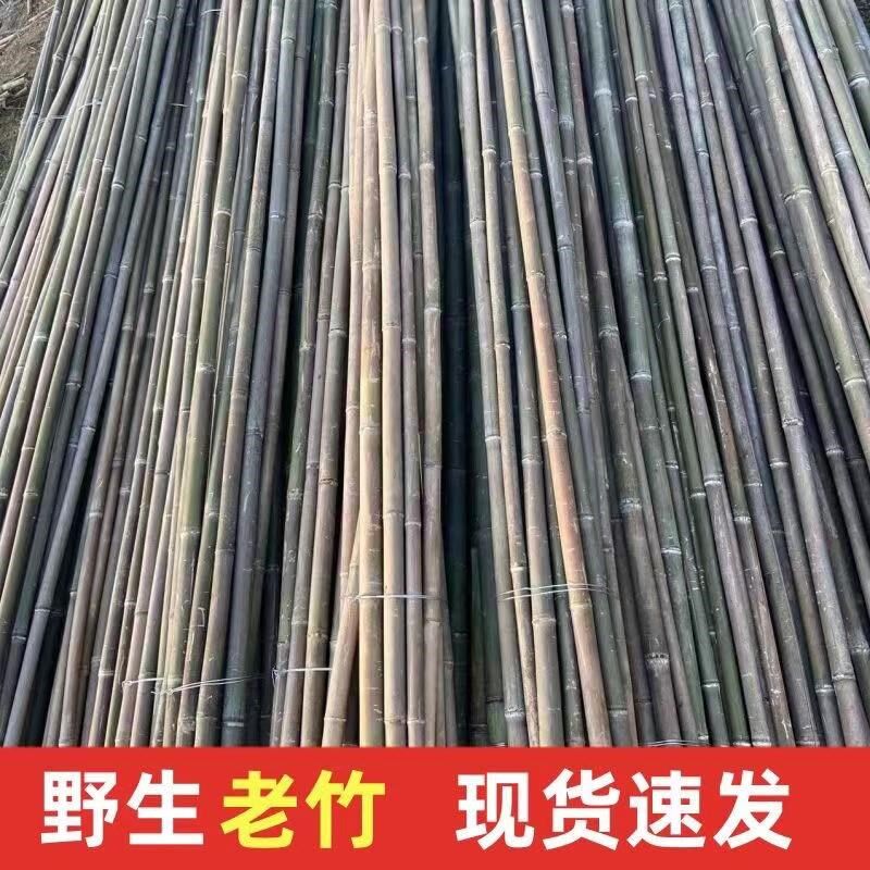 精选菜架竹竿竹子蔬菜黄瓜豆角架竿花架杆子彩旗杆防腐竹篱笆栅栏