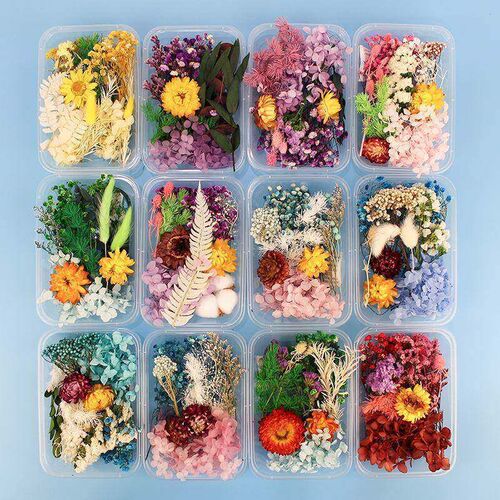 200pc Real Dried Flowers For Art Craft Epoxy Resin Candl