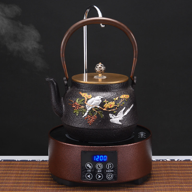 笃牌铁壶纯手工铸铁泡茶烧水老铁壶家用煮茶壶上水电陶炉套装礼品