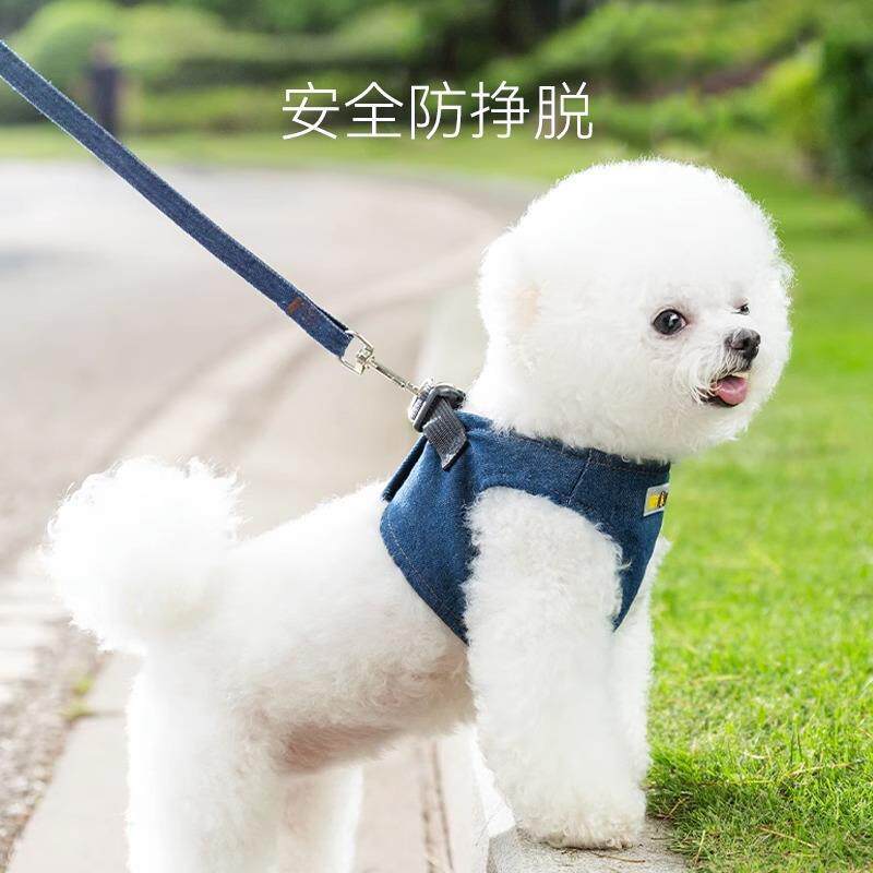 小狗外出胸抱婴袋牵引绳狗绳用品泰迪博美比熊茶杯俊介小鹿犬雪纳
