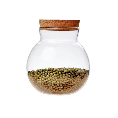 Terrarium Buds Vases Micro Landscape Ecological Bottle