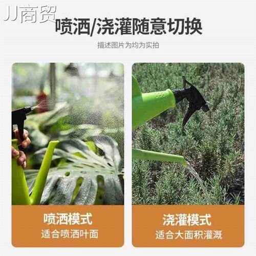 2 in 1 Plastic Watering Can Indoor Garden Plants Pressure Sp