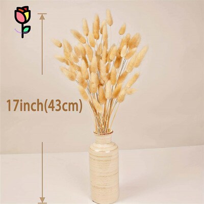 90pcs Dried Flower Rabbit Tail Grass Bouquet Nordic Weddings