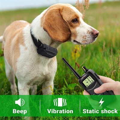 Petrainer 900 1 1000M Electronic Remote Control Dog Trainin