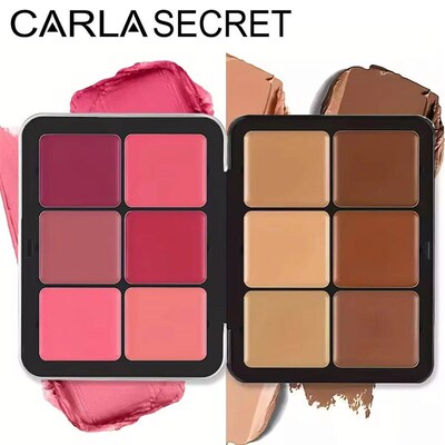 12-color iron box concealer blush cream matte highlight cont