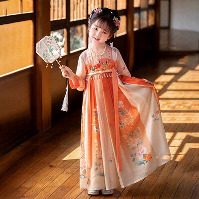 Hanfu Girls Spring New Improved Embroidered Tang Suit Long-s