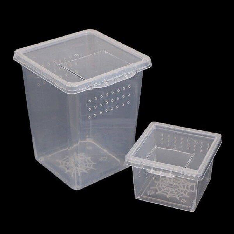 High Quality Transparent Plastic Insect Spider Habitat - 实物图