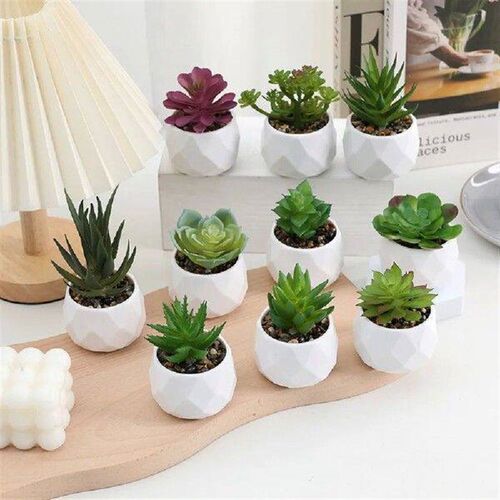 Mini Evergreen Artificial Succulent Cactus Plastic Bonsai